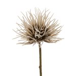 Boltze Flowers - Decoratieve Tak beige H25 cm